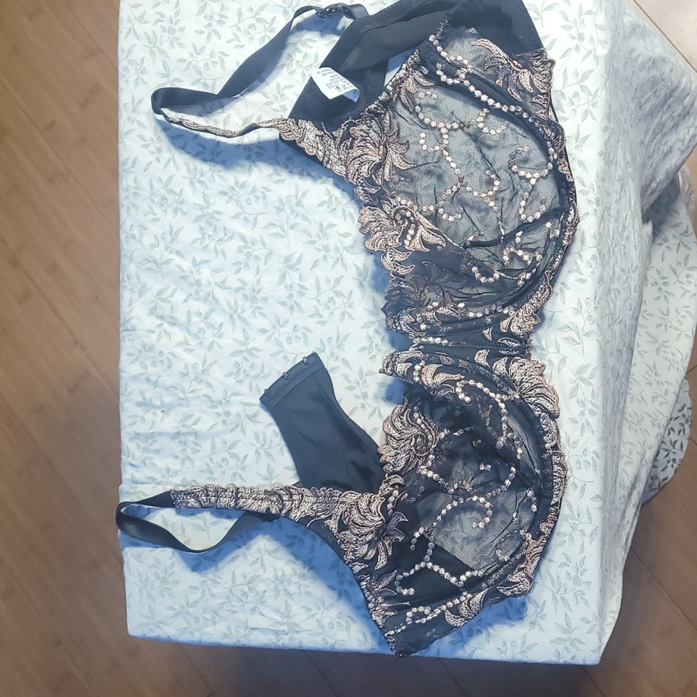 Lunaire shear bra size 46c